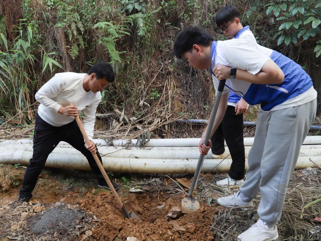 紧密协作,植此青绿 leyu乐鱼中国体育官网供图.jpg 紧密协作,植此青绿 leyu乐鱼中国体育官网供图.jpg
