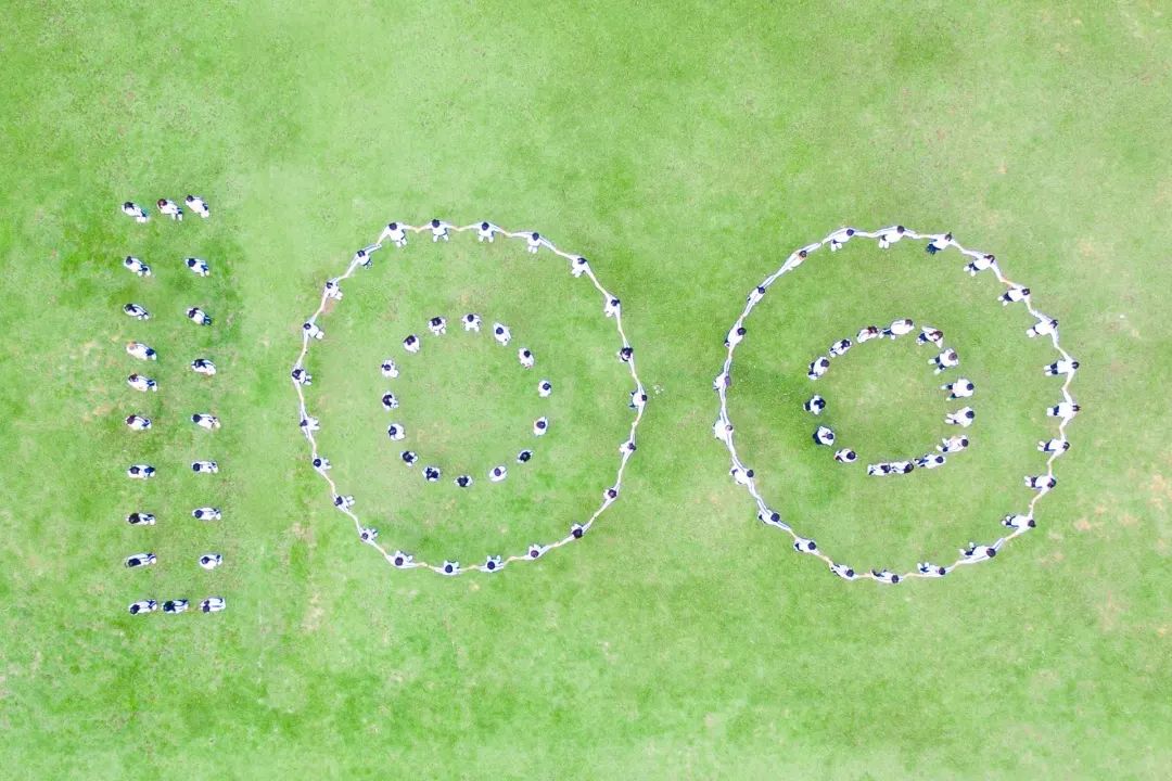 献礼建团100周年 leyu乐鱼中国体育官网供图.jpg